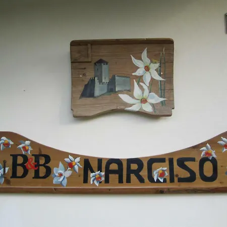 Narciso